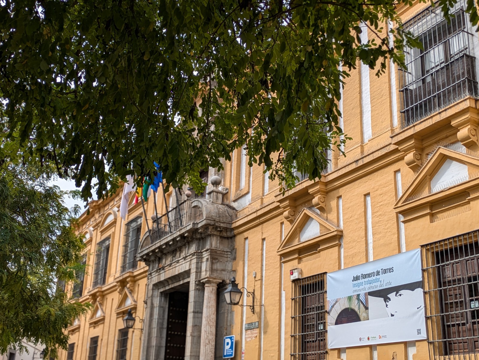 PXL 20241025 111153501.PORTRAIT