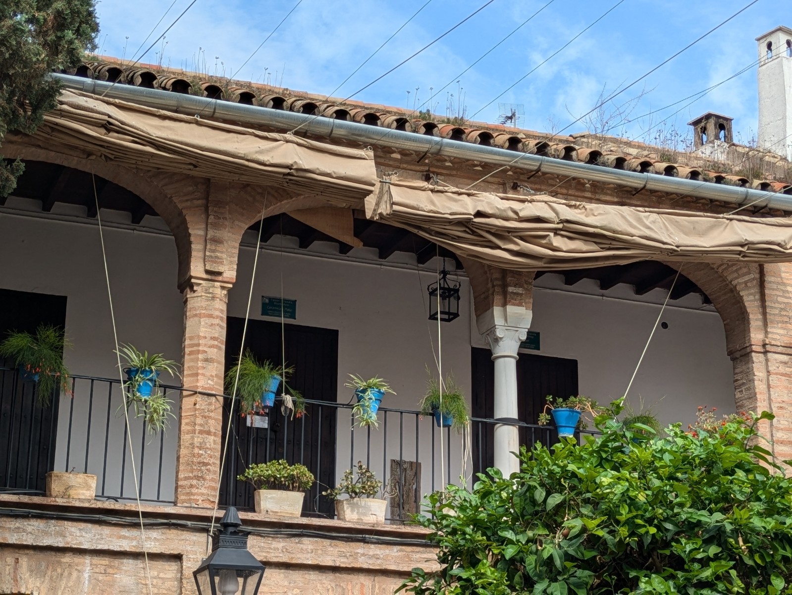 PXL 20241025 111613483.PORTRAIT.ORIGINAL