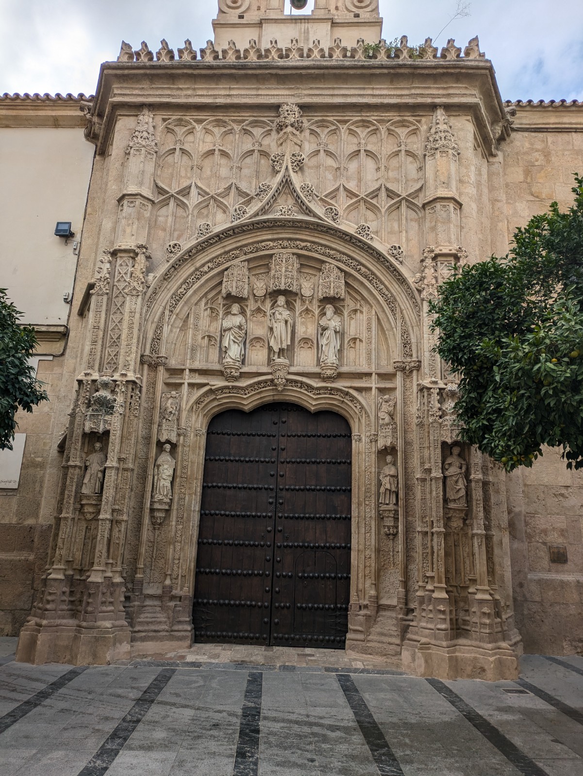 PXL 20241025 125218069