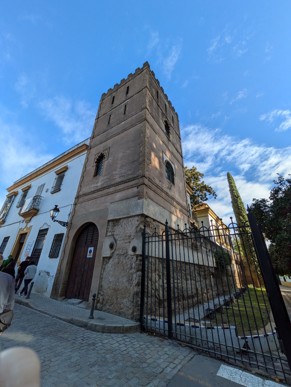 PXL 20241026 091223076