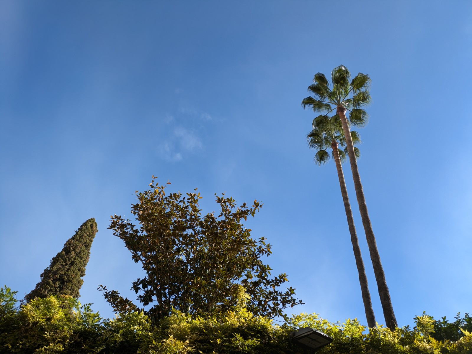 PXL 20241026 093409266