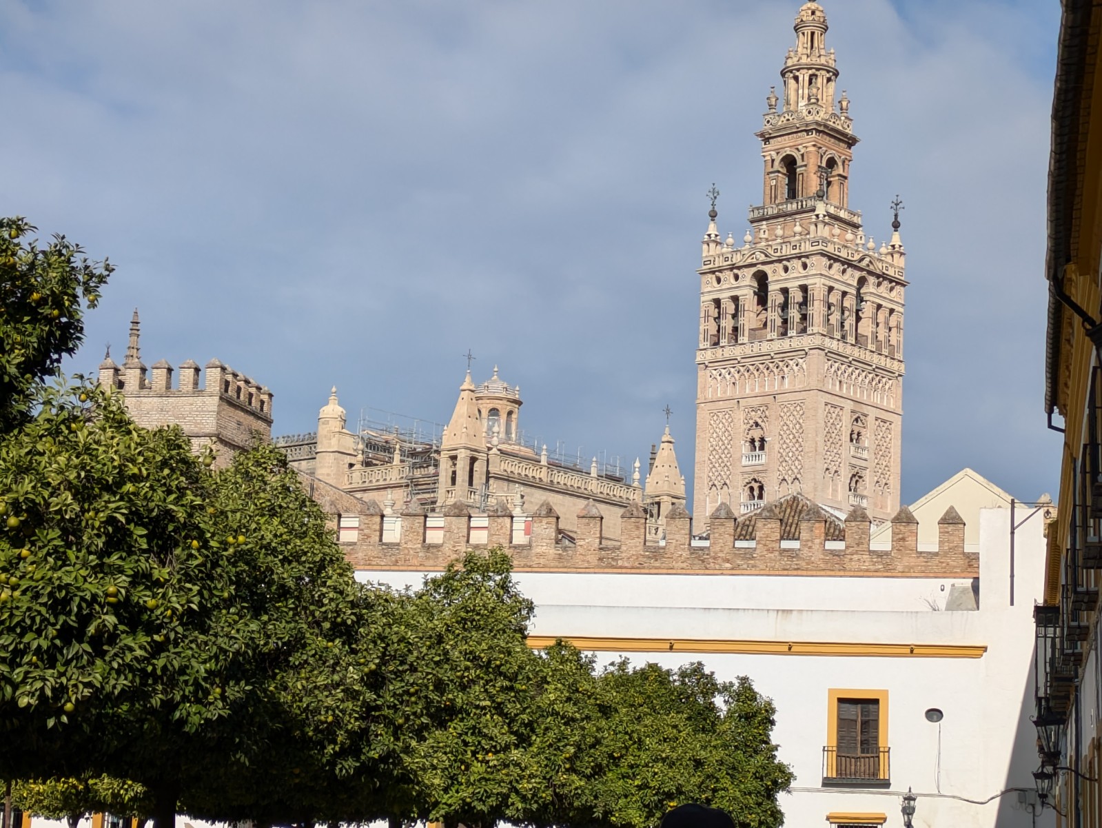 PXL 20241026 093659997