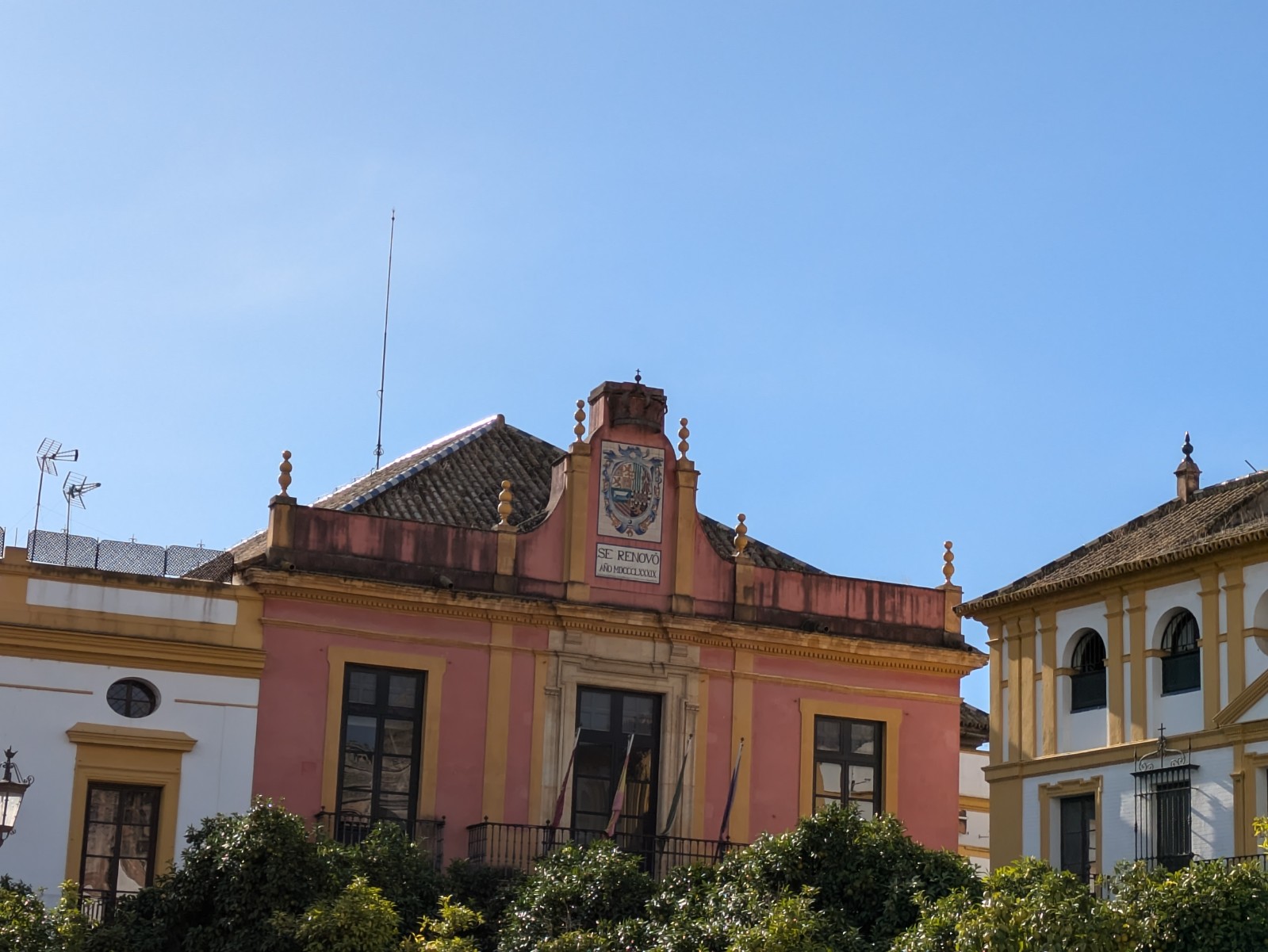 PXL 20241026 093808028