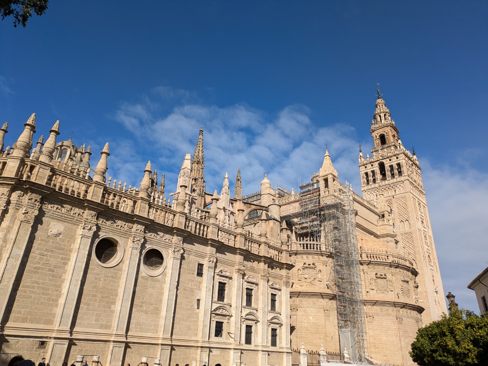 PXL 20241026 094127084