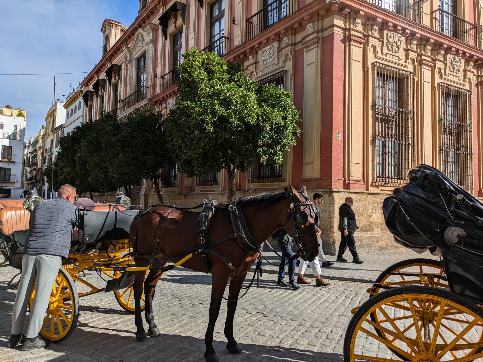 PXL 20241026 094558774