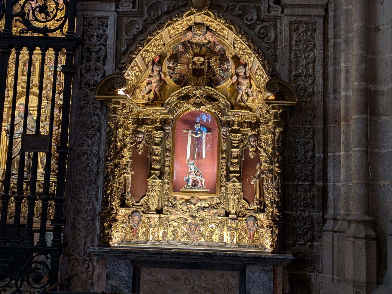 PXL 20241026 101534039