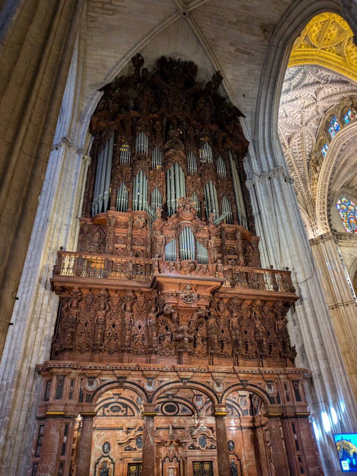 PXL 20241026 102408191