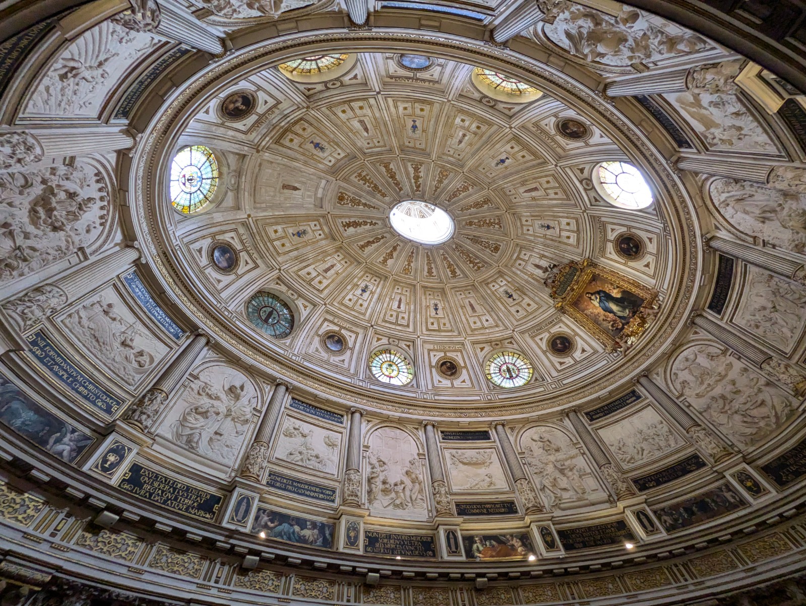 PXL 20241026 105100659