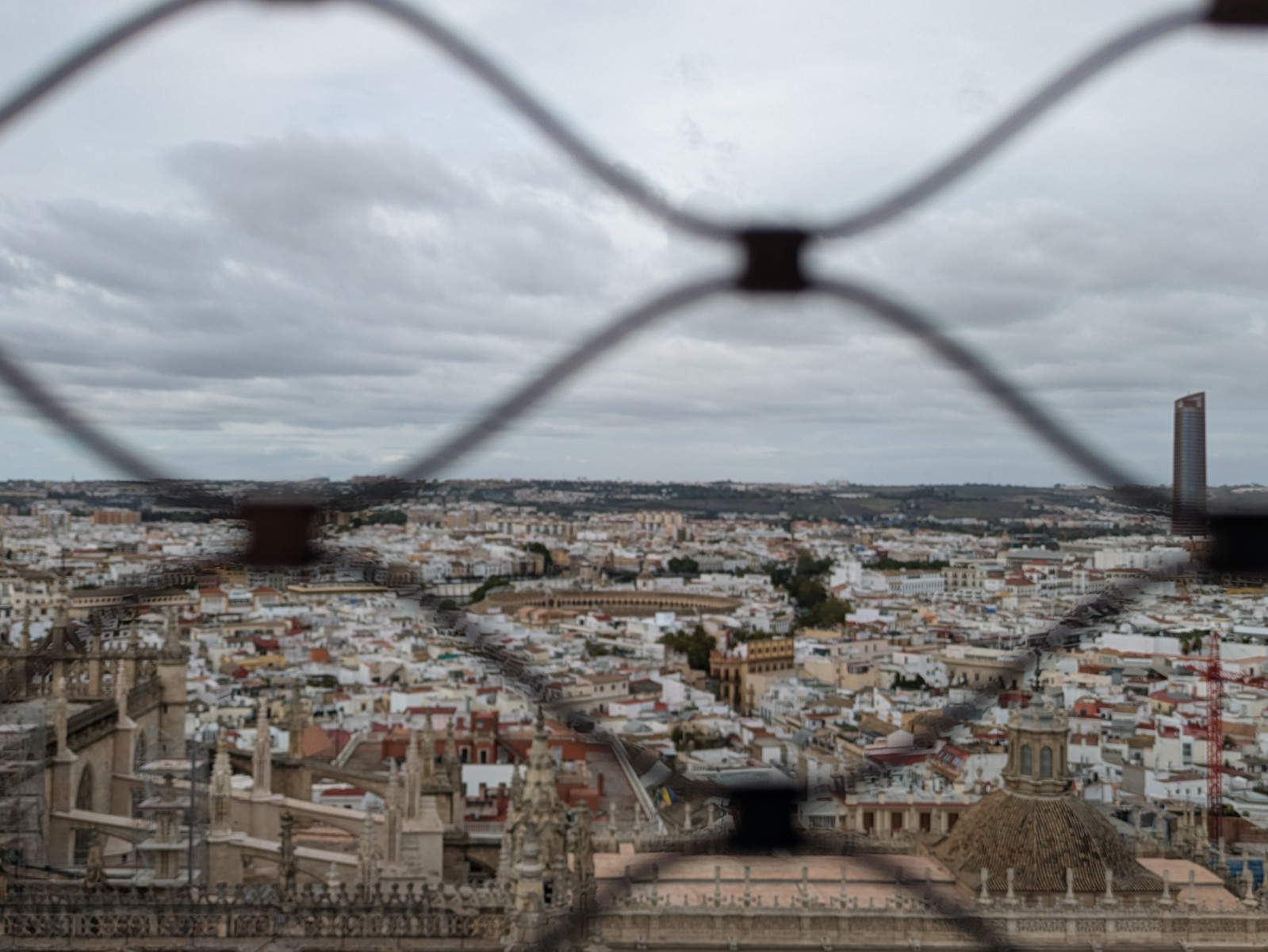 PXL 20241026 111108631