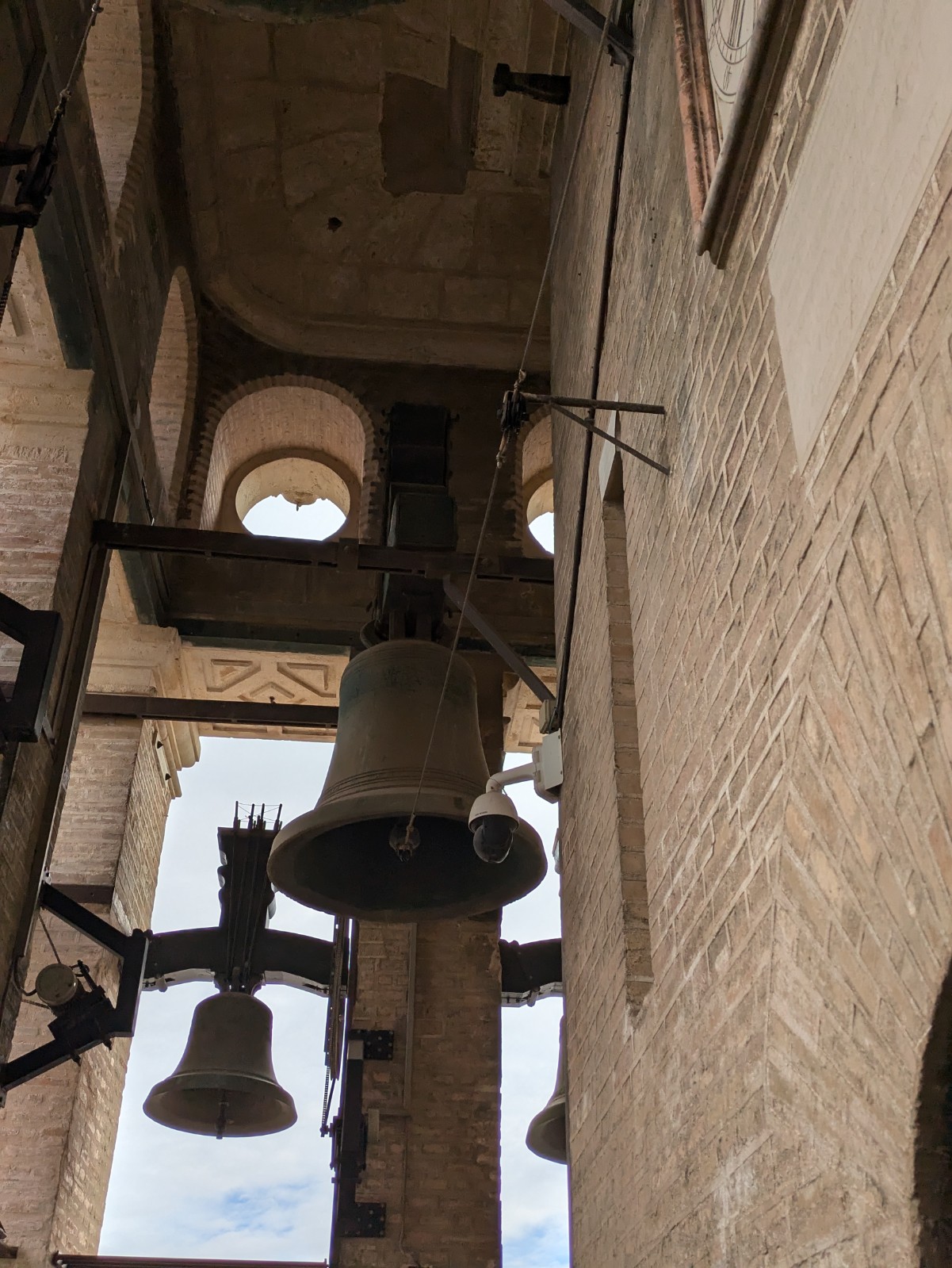 PXL 20241026 111201855