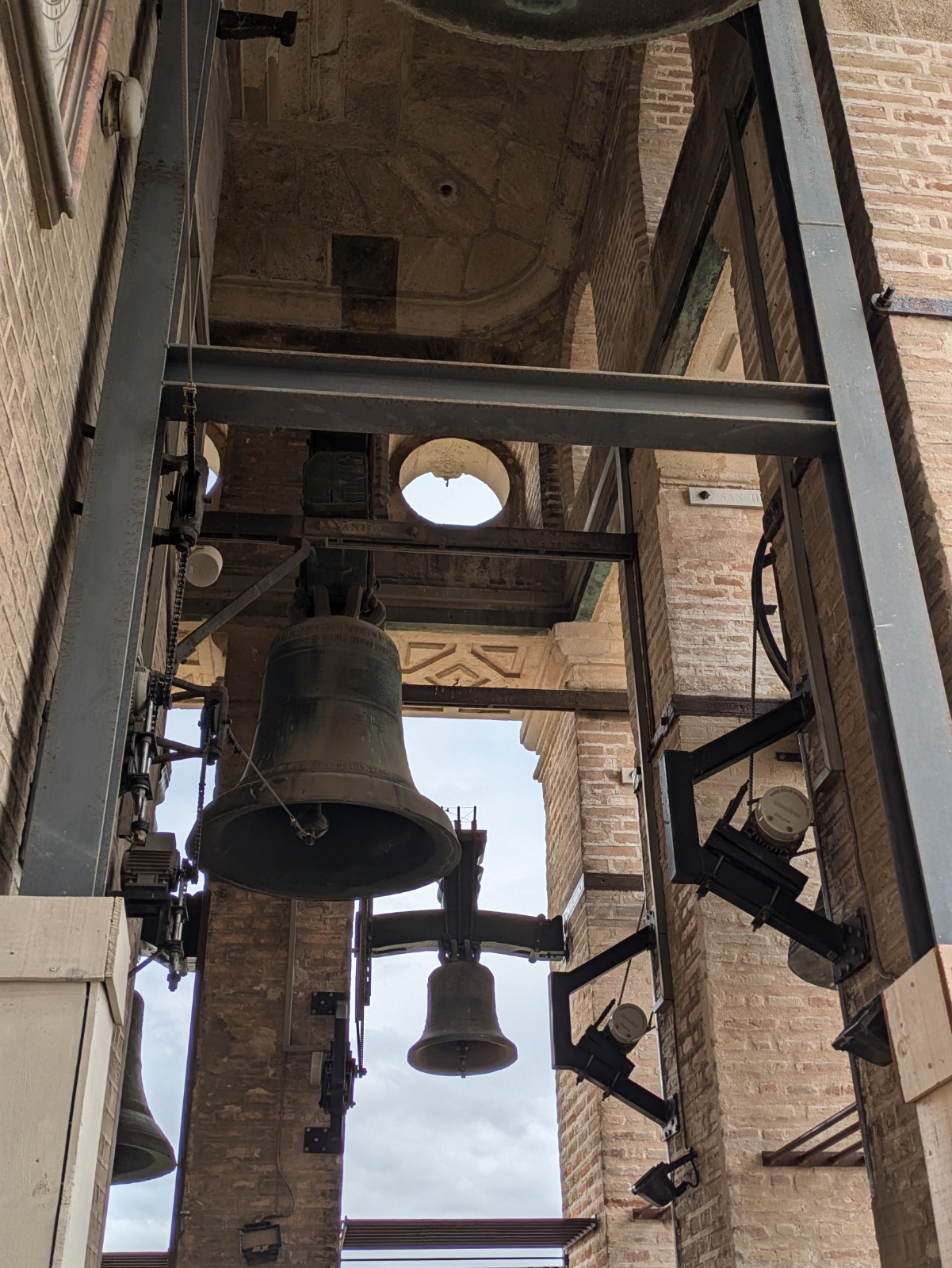 PXL 20241026 111253701