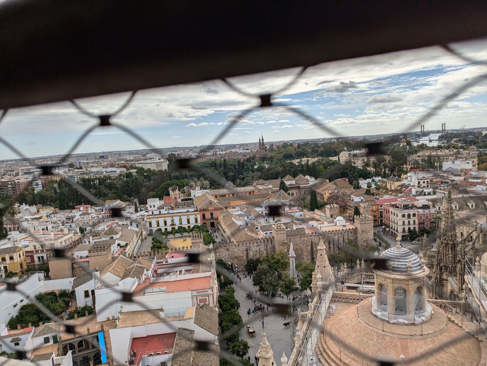 PXL 20241026 111605982