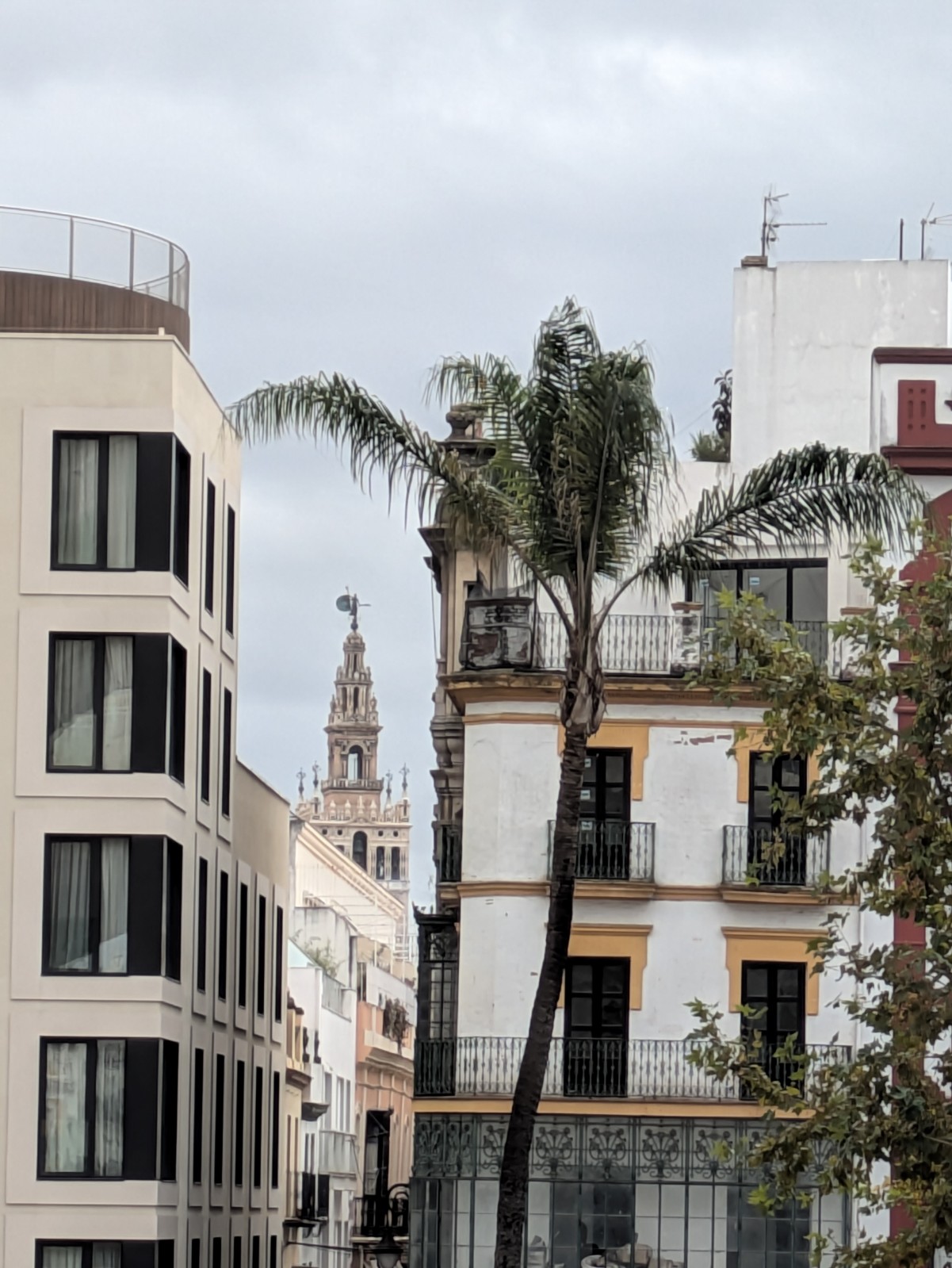 PXL 20241026 132704493