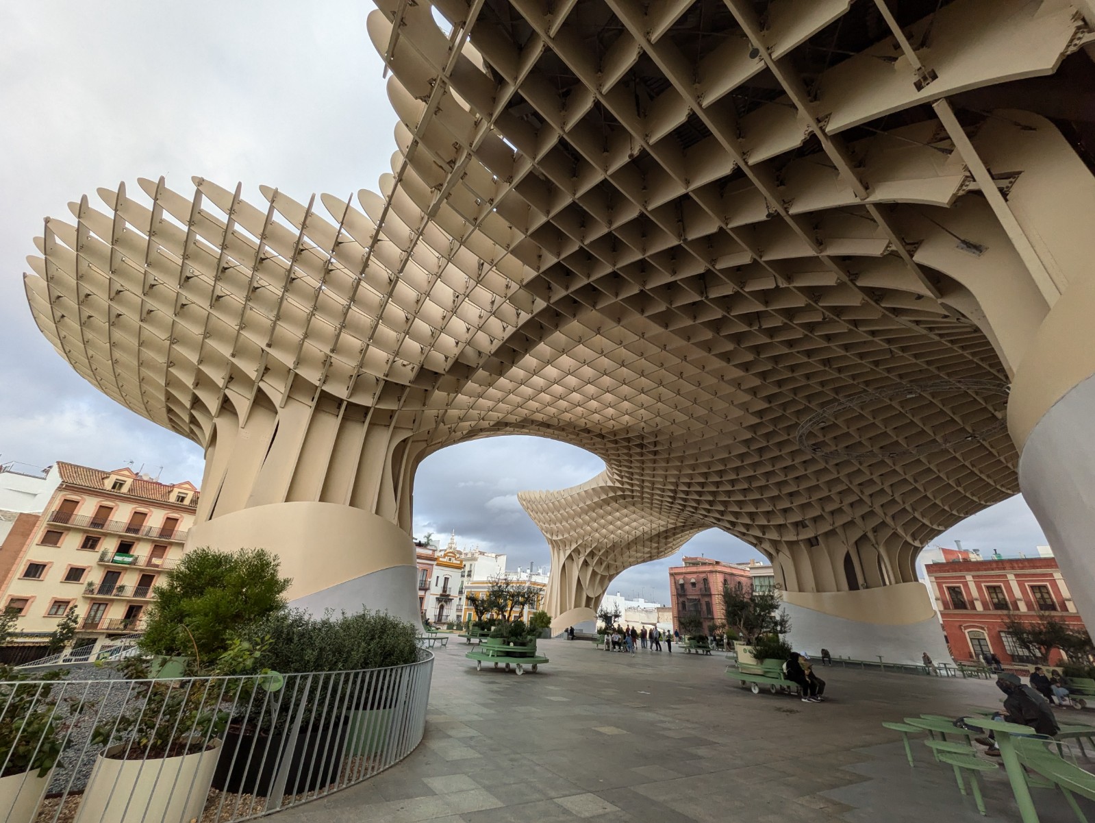 PXL 20241026 132959558