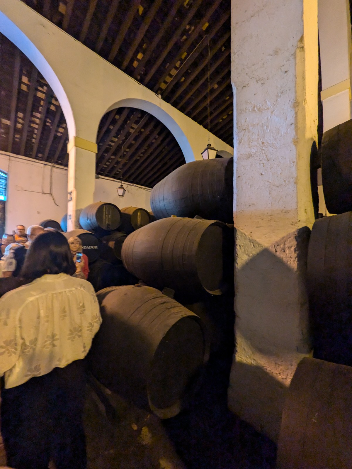 PXL 20241027 092120773