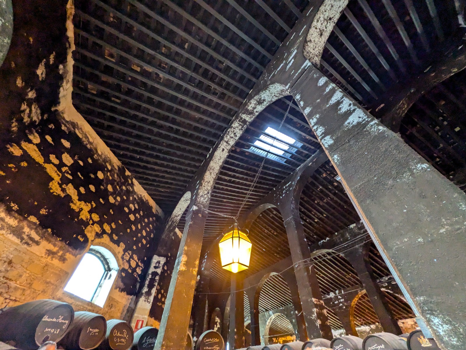 PXL 20241027 093549440