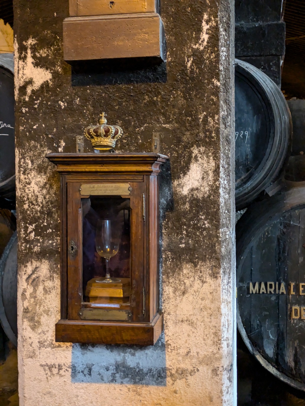 PXL 20241027 094027058