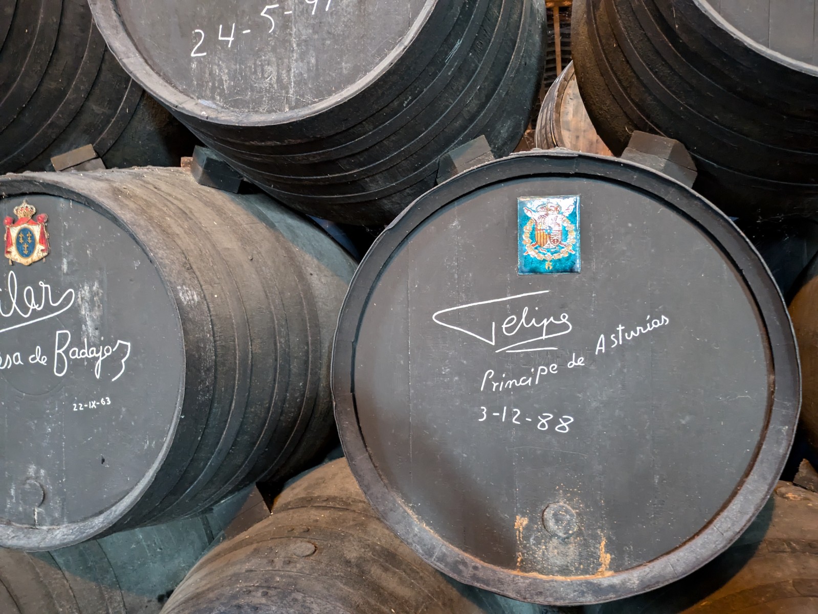 PXL 20241027 094241296