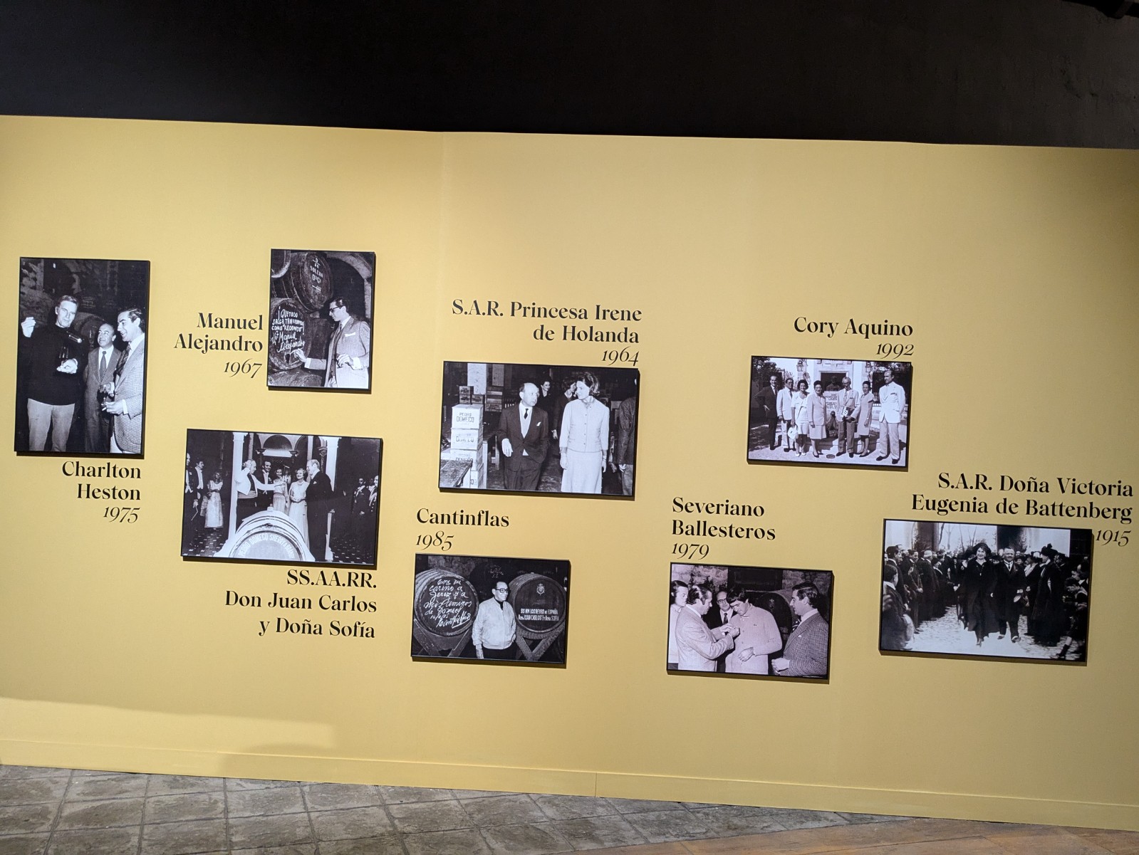 PXL 20241027 102532561