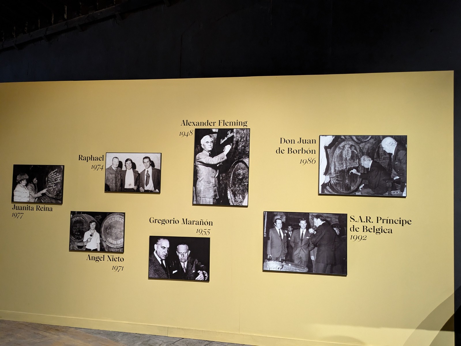 PXL 20241027 102549298