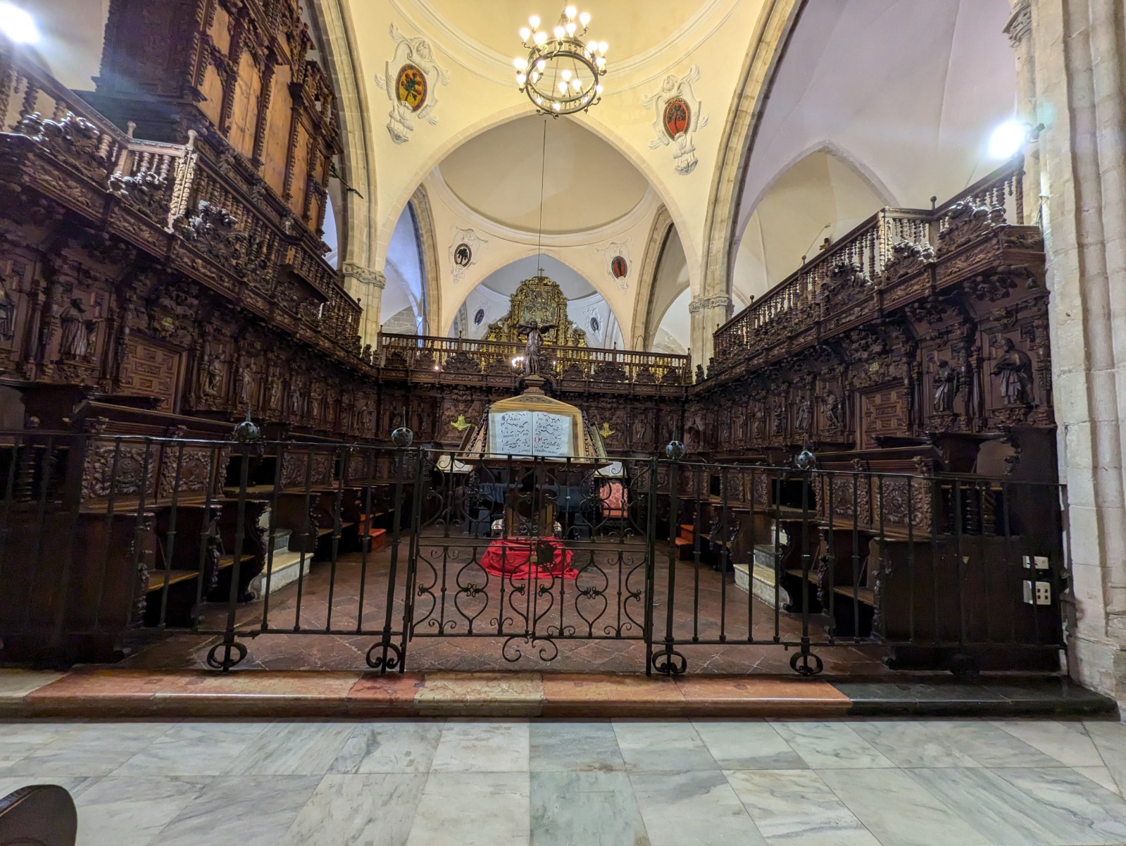 PXL 20241027 131319489