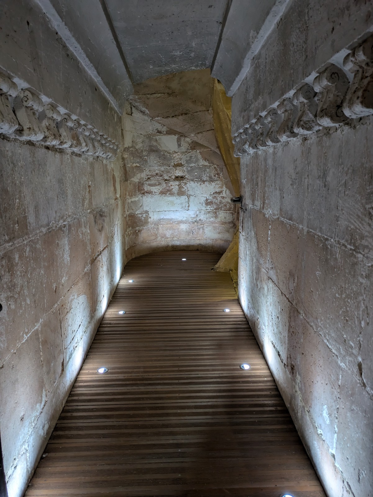 PXL 20241027 131533662