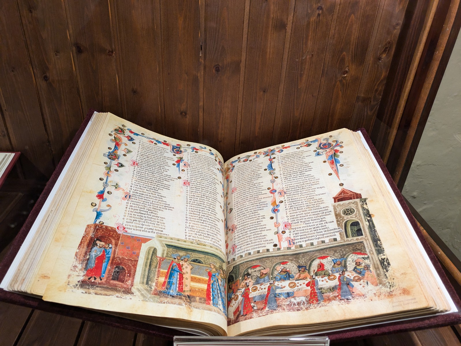 PXL 20241027 135412534