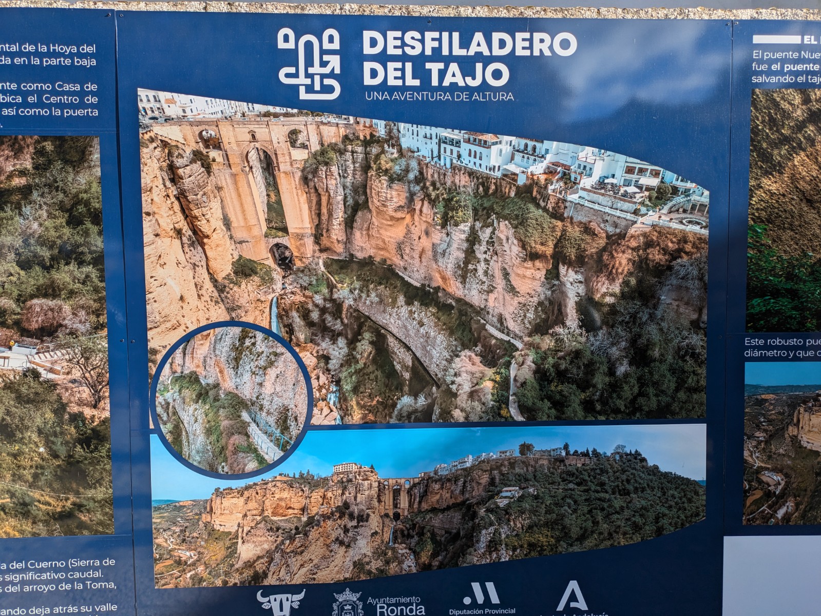 PXL 20241027 143244533