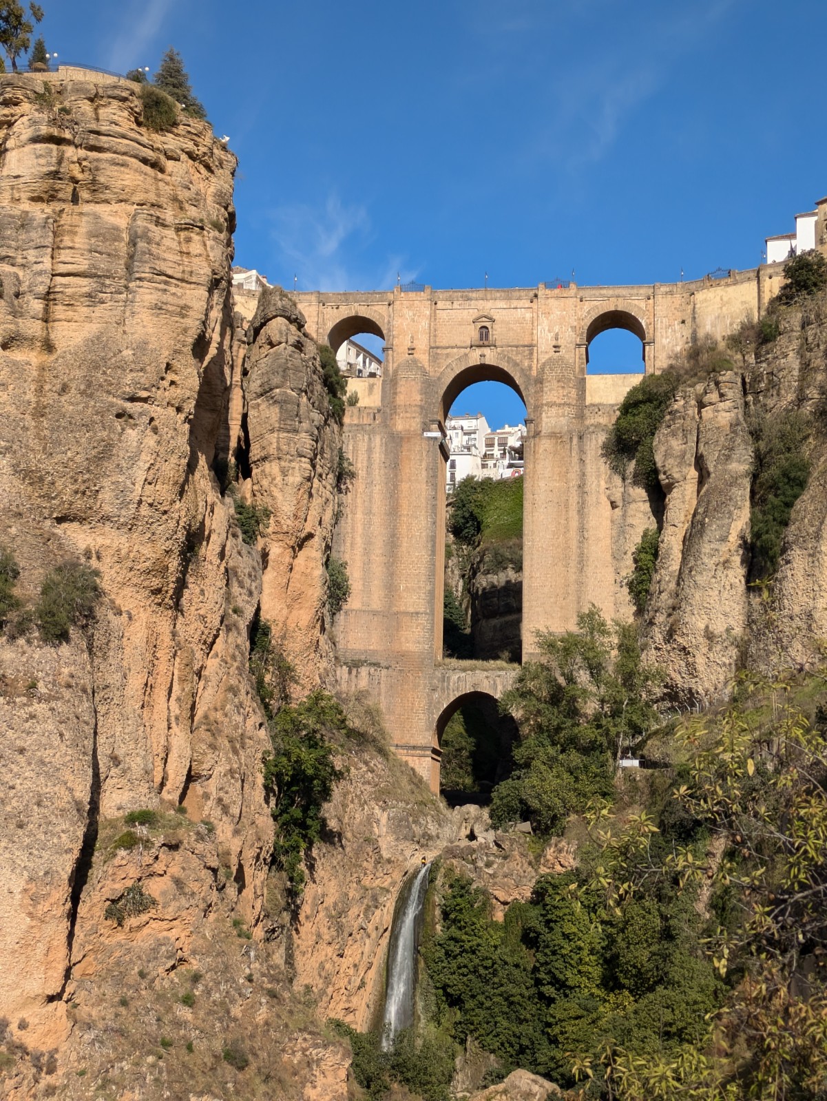 PXL 20241027 144726681