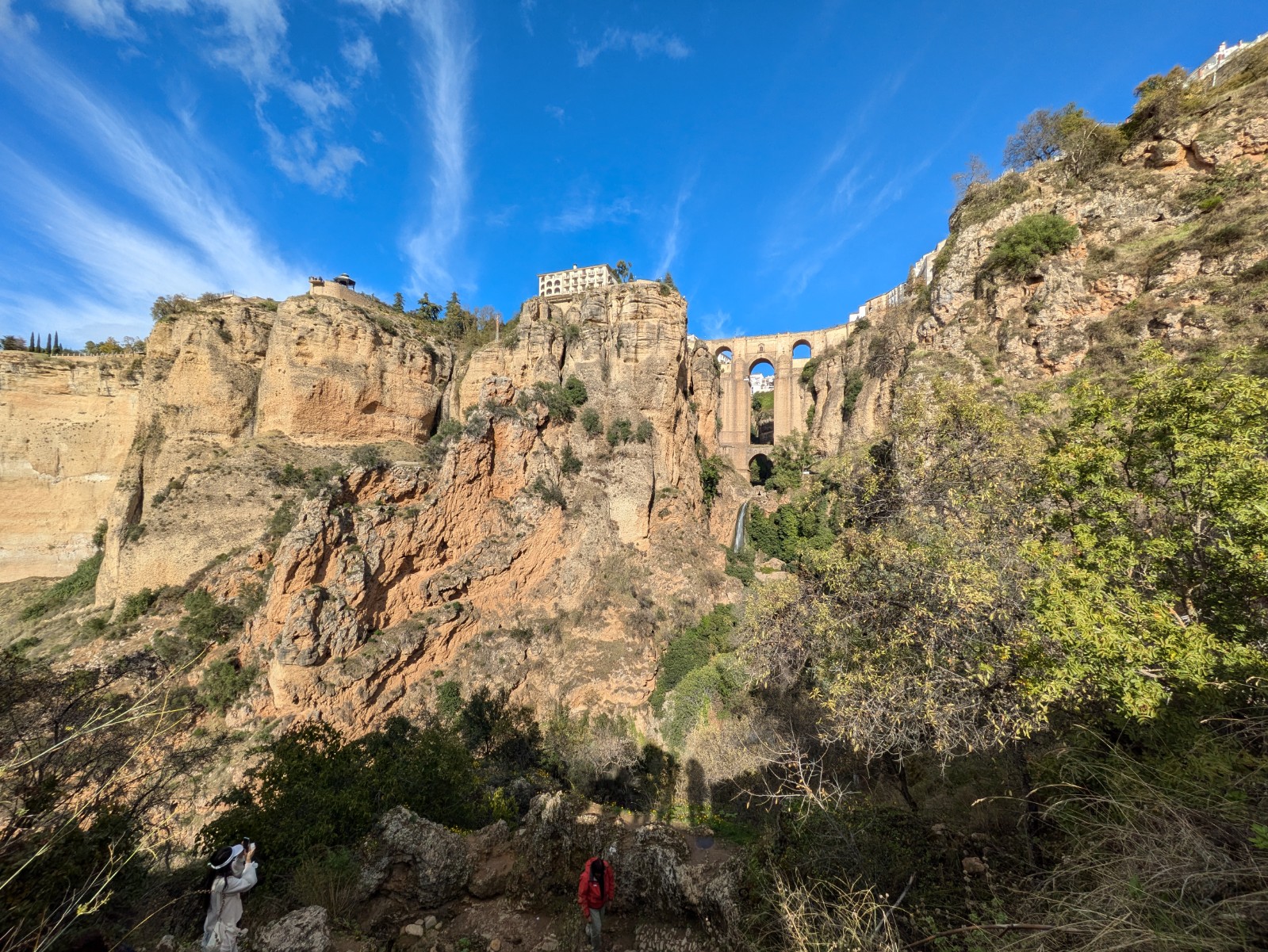 PXL 20241027 144735232