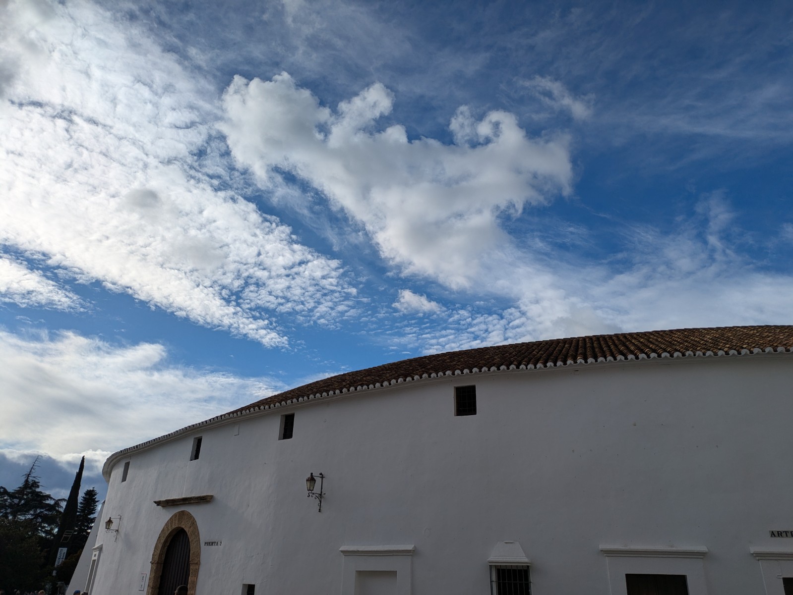 PXL 20241027 152144305