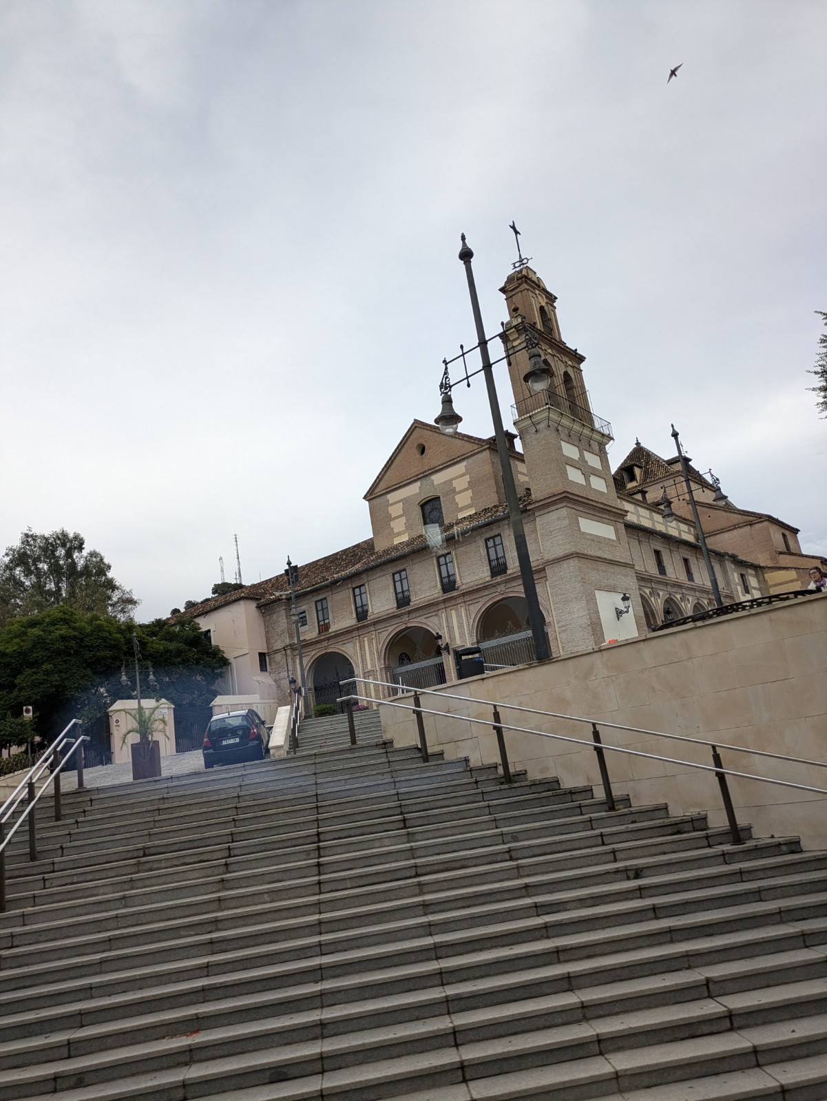 PXL 20241028 102343571