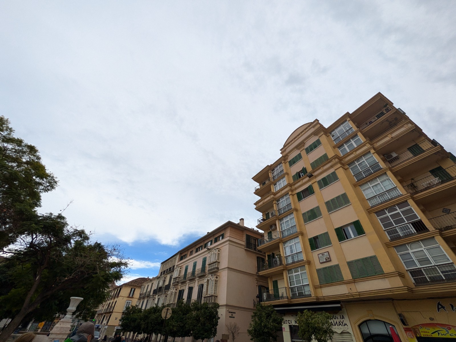 PXL 20241028 103705298