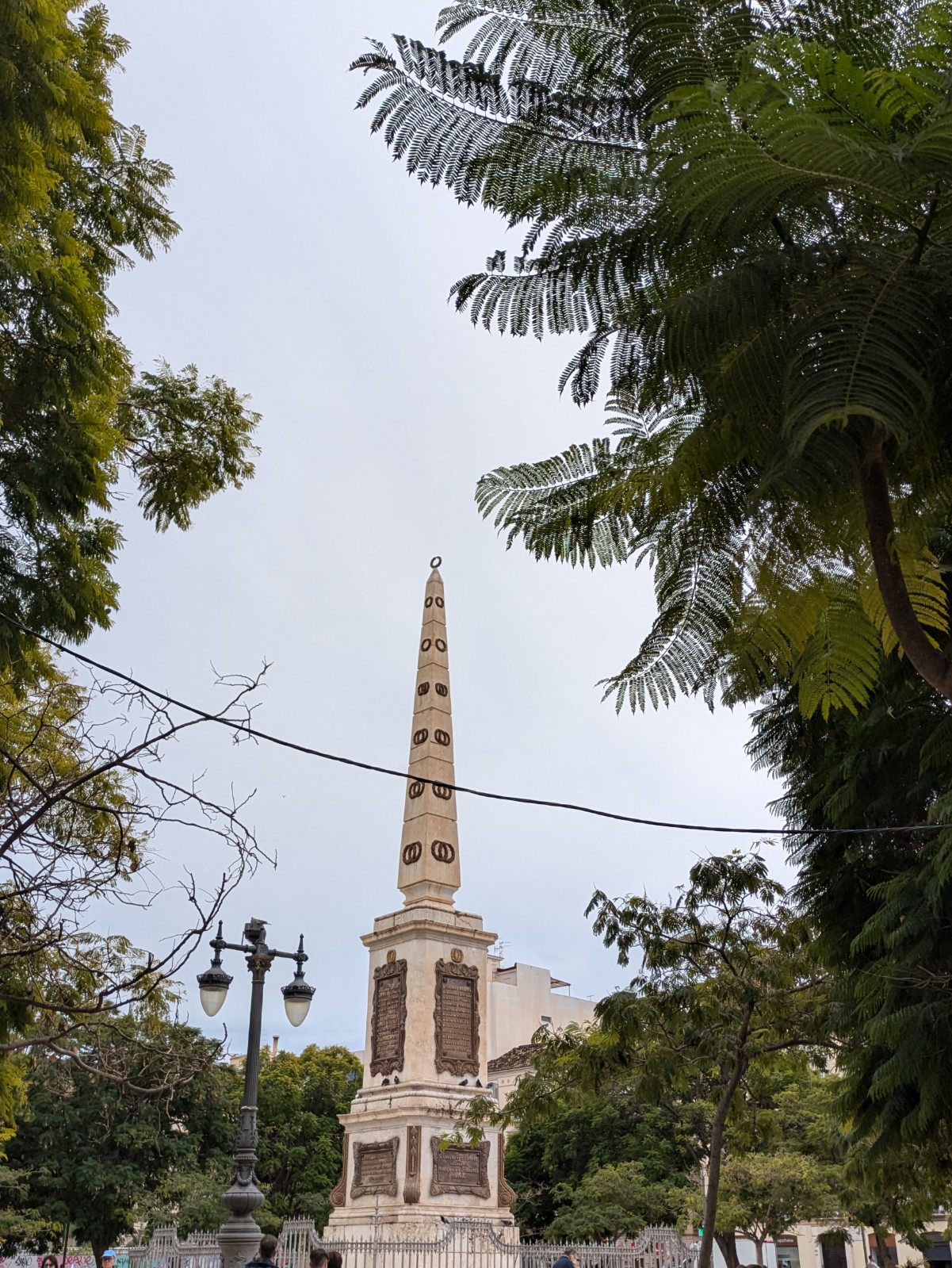 PXL 20241028 104020254