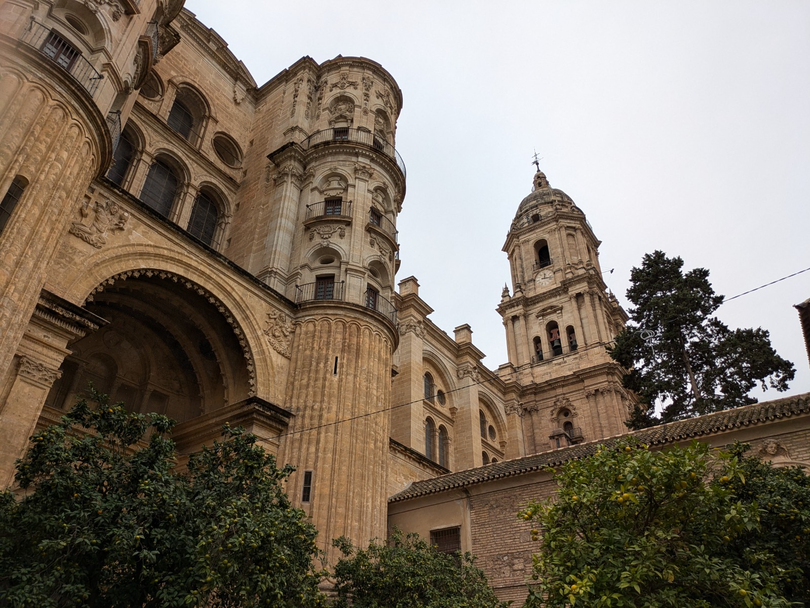 PXL 20241028 111824922