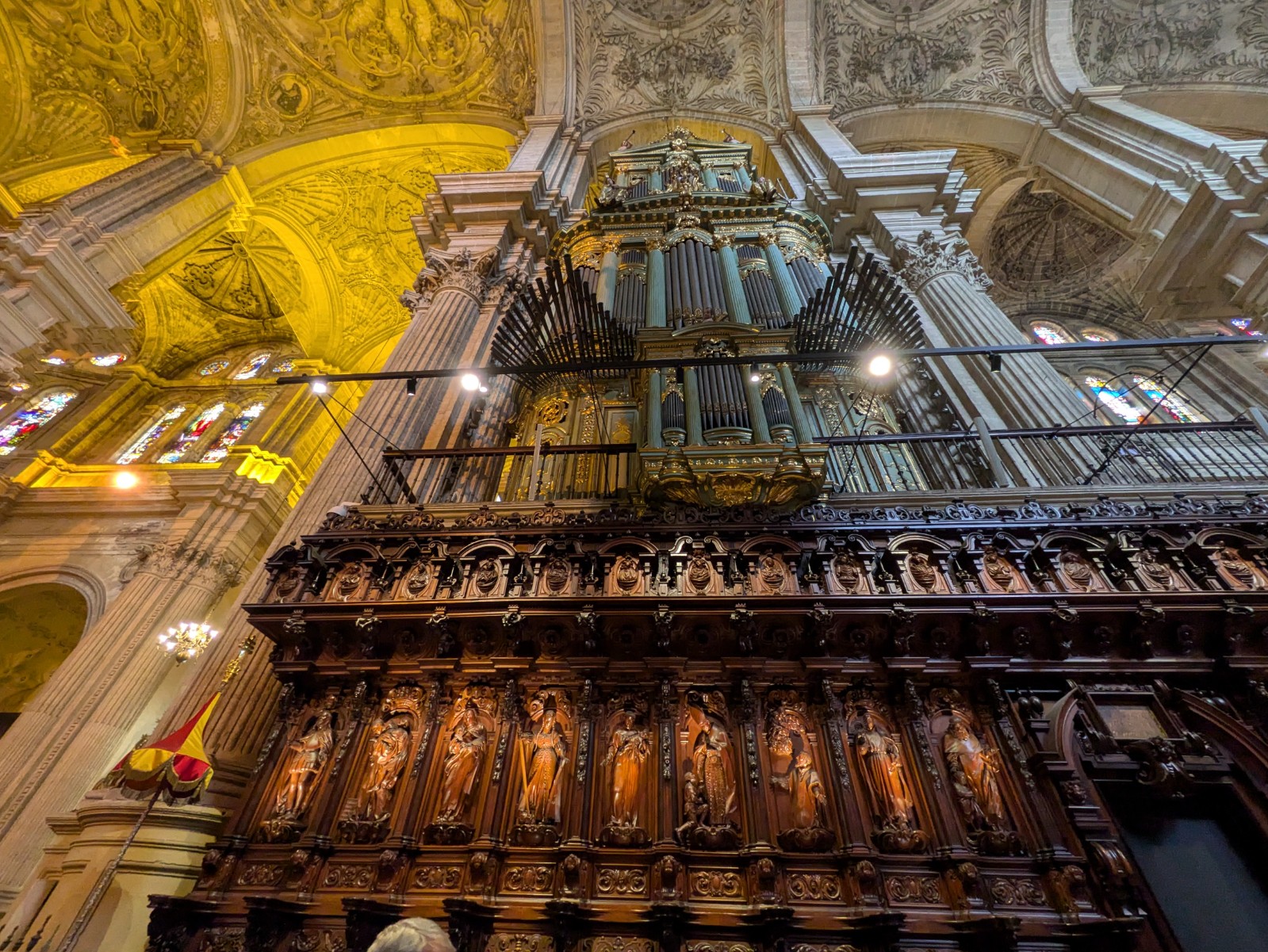 PXL 20241028 113243258