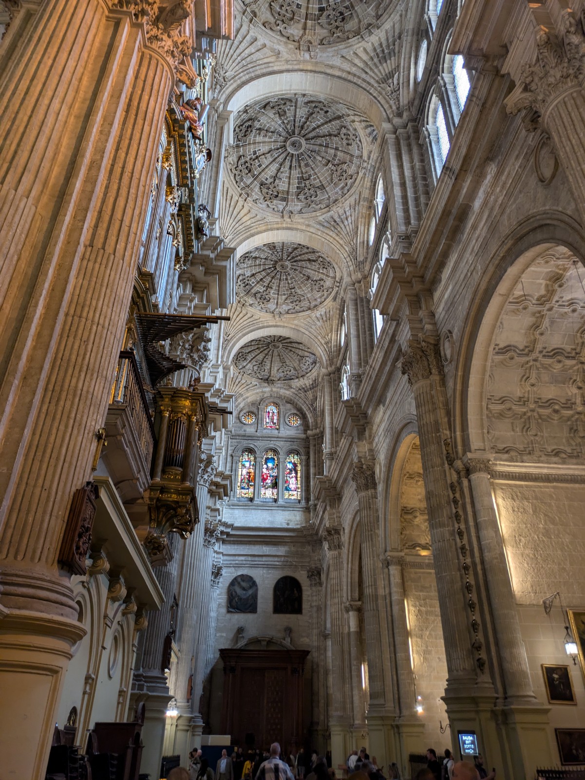 PXL 20241028 113915785