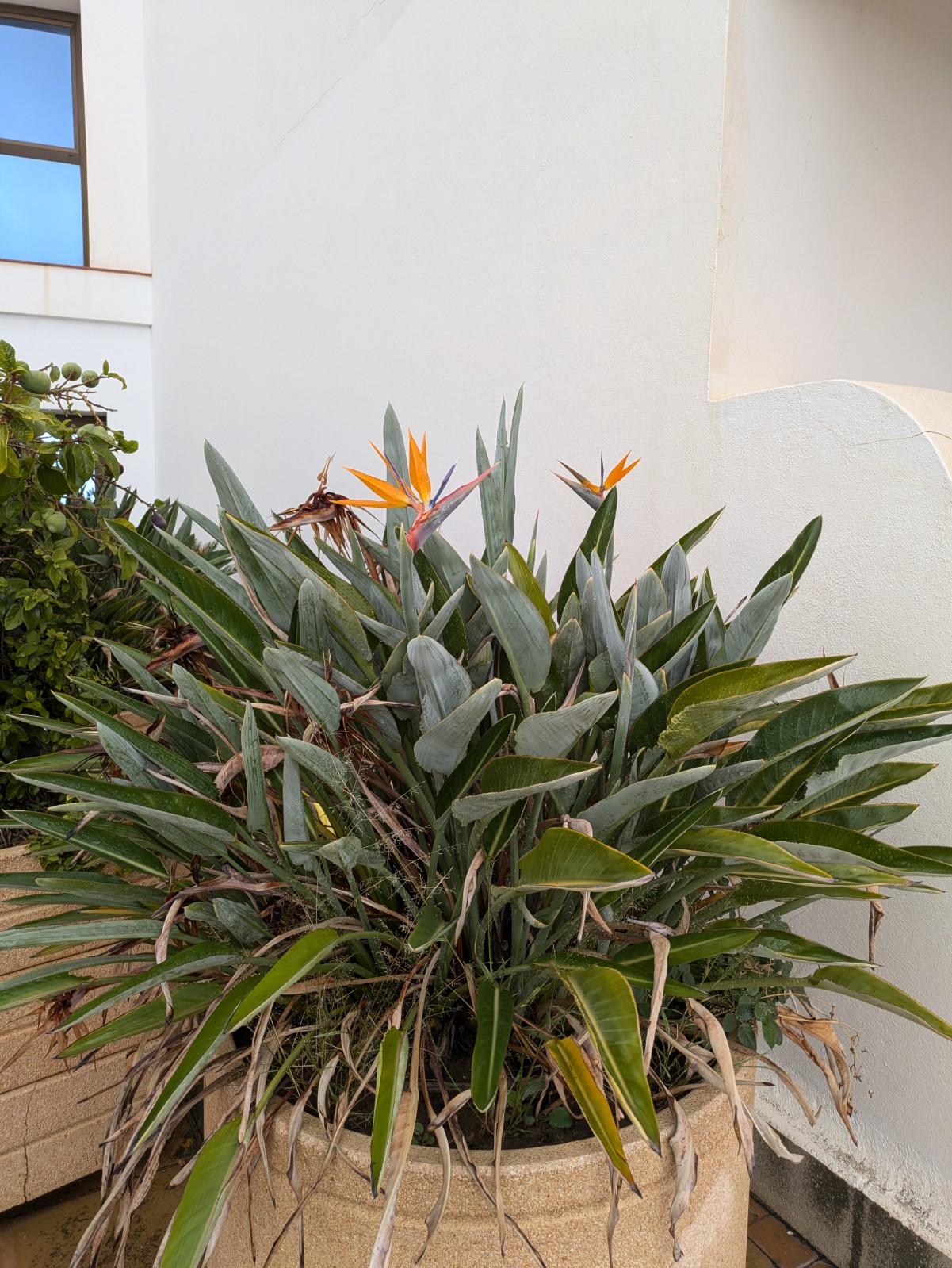 PXL 20241029 092209912