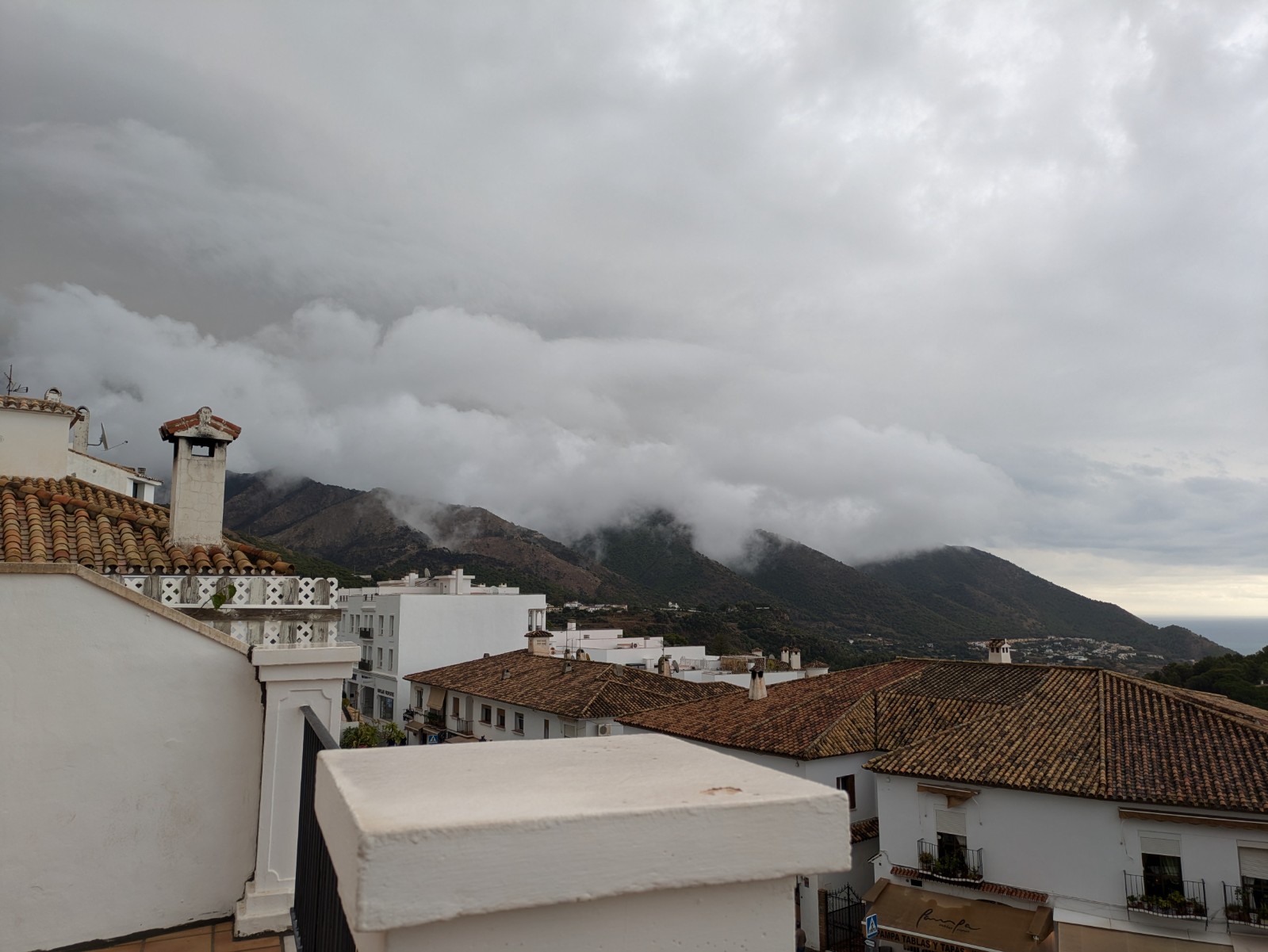 PXL 20241029 112842445