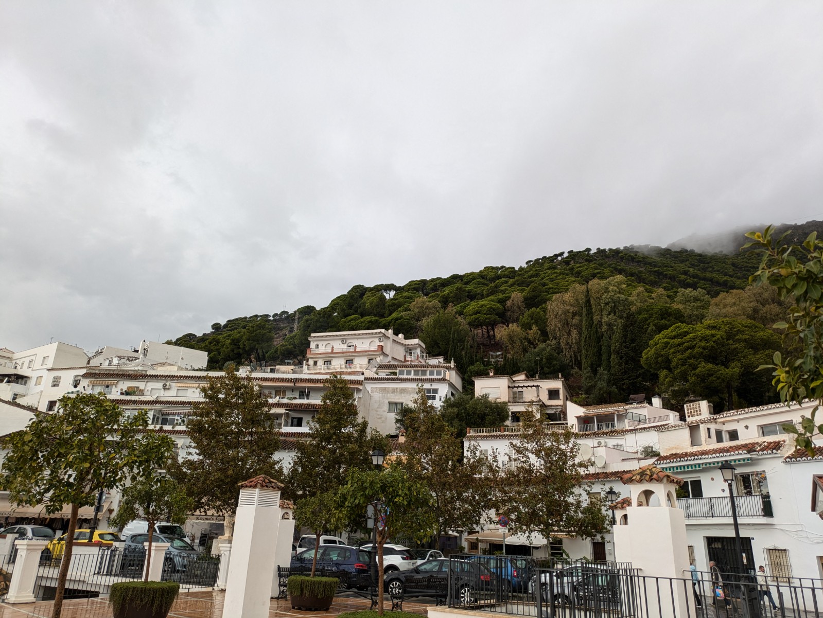 PXL 20241029 112903055