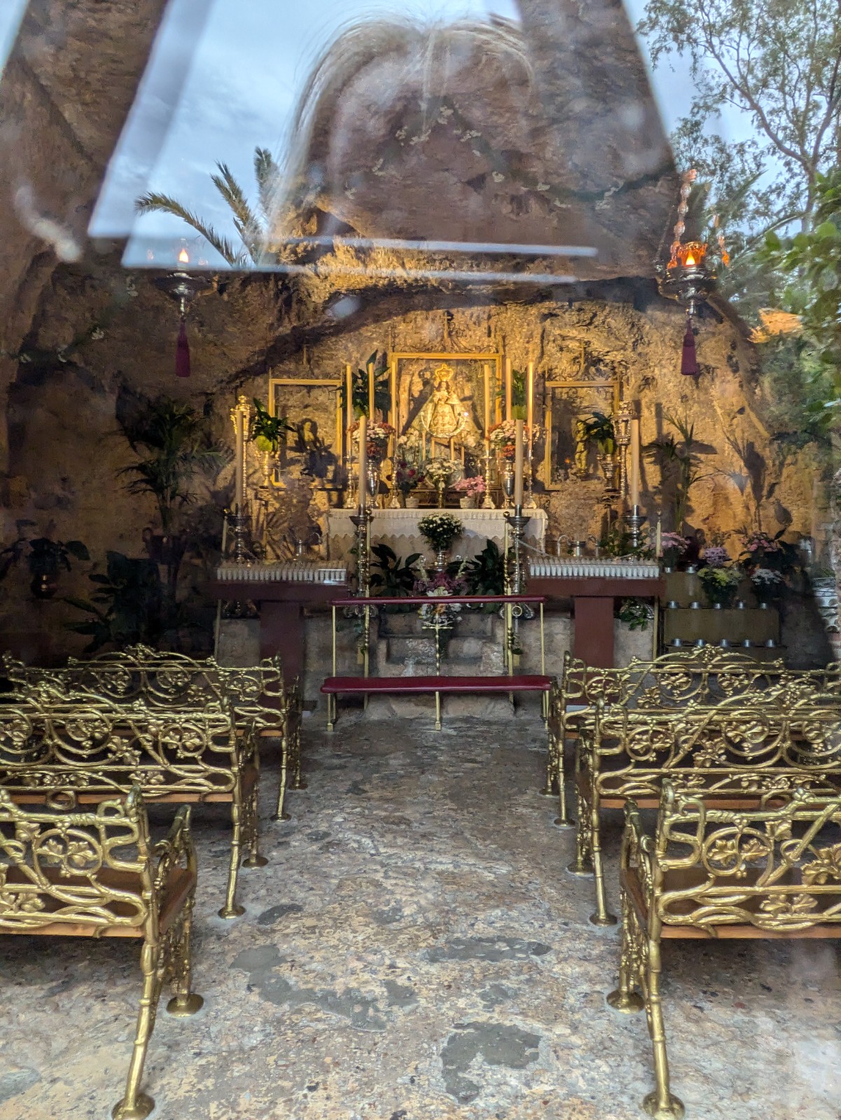 PXL 20241029 124249682