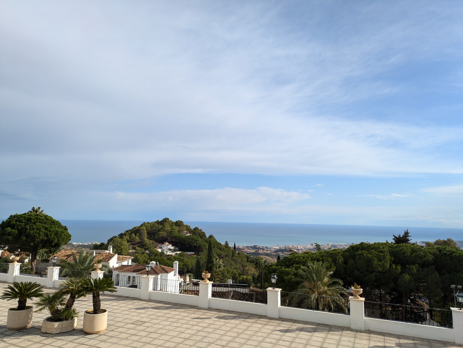 PXL 20241029 145104121