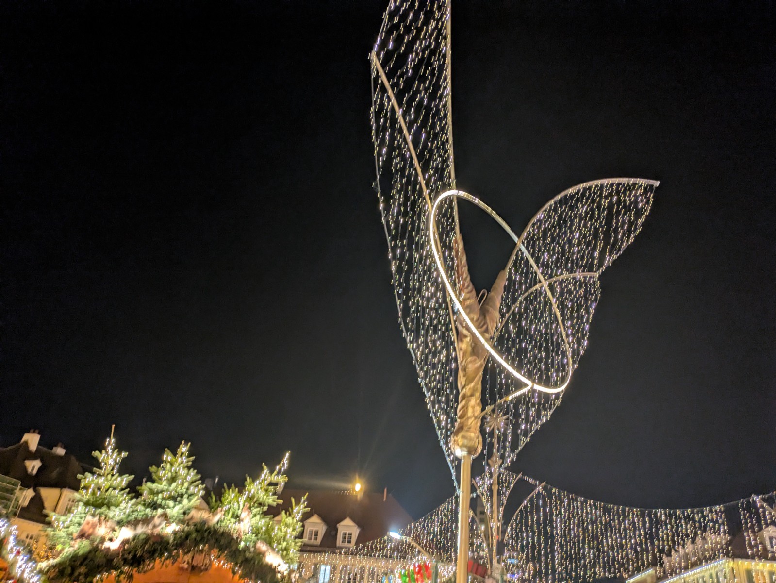 PXL 20241216 194756361