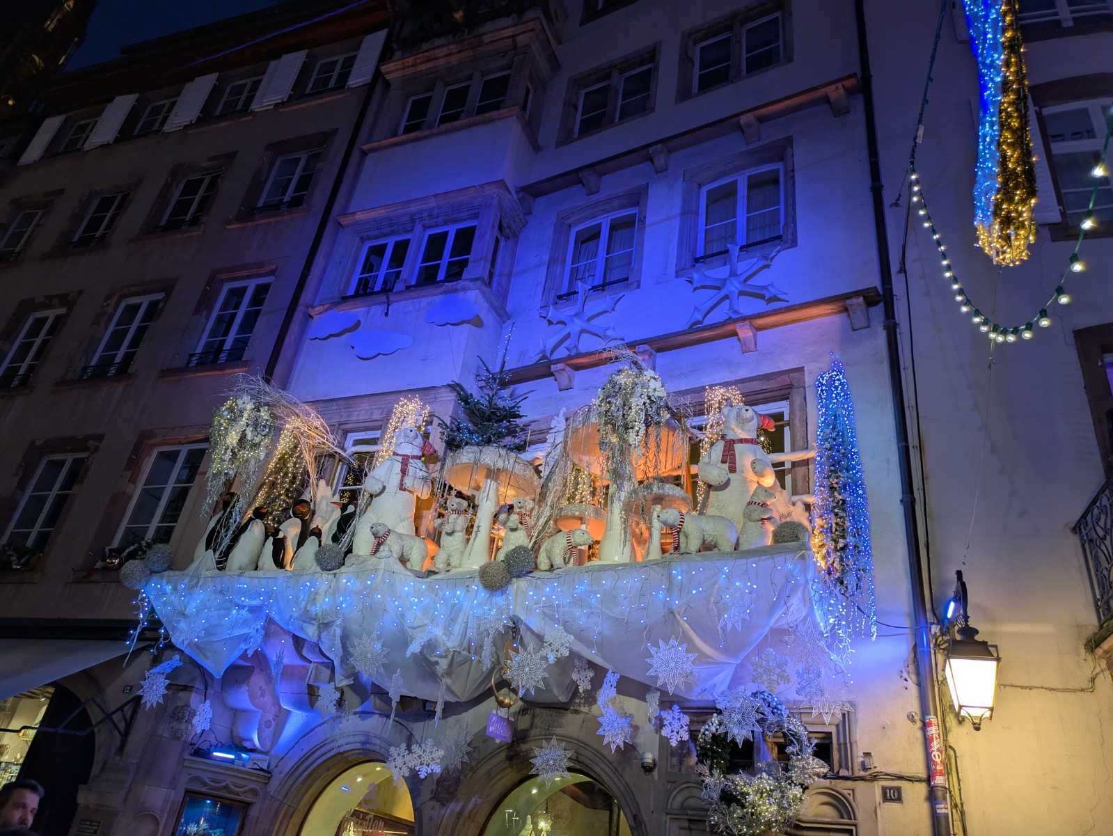 PXL 20241218 160924351