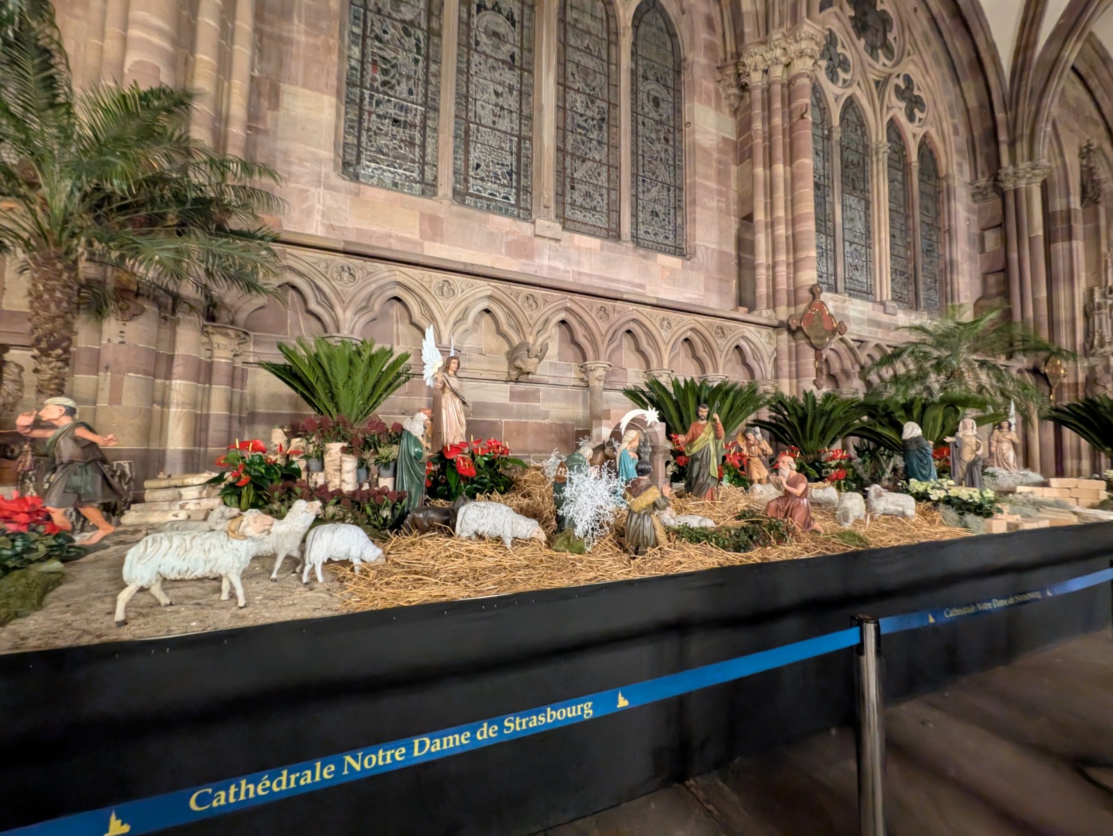 PXL 20241218 164420212.NIGHT