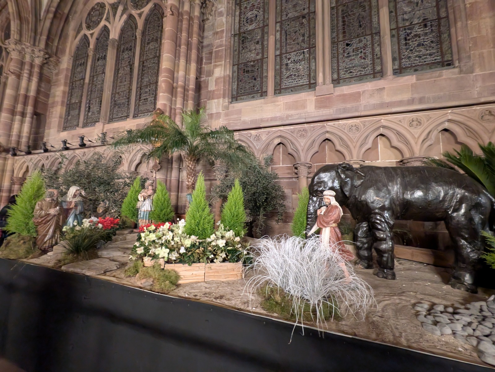 PXL 20241218 164459317.NIGHT