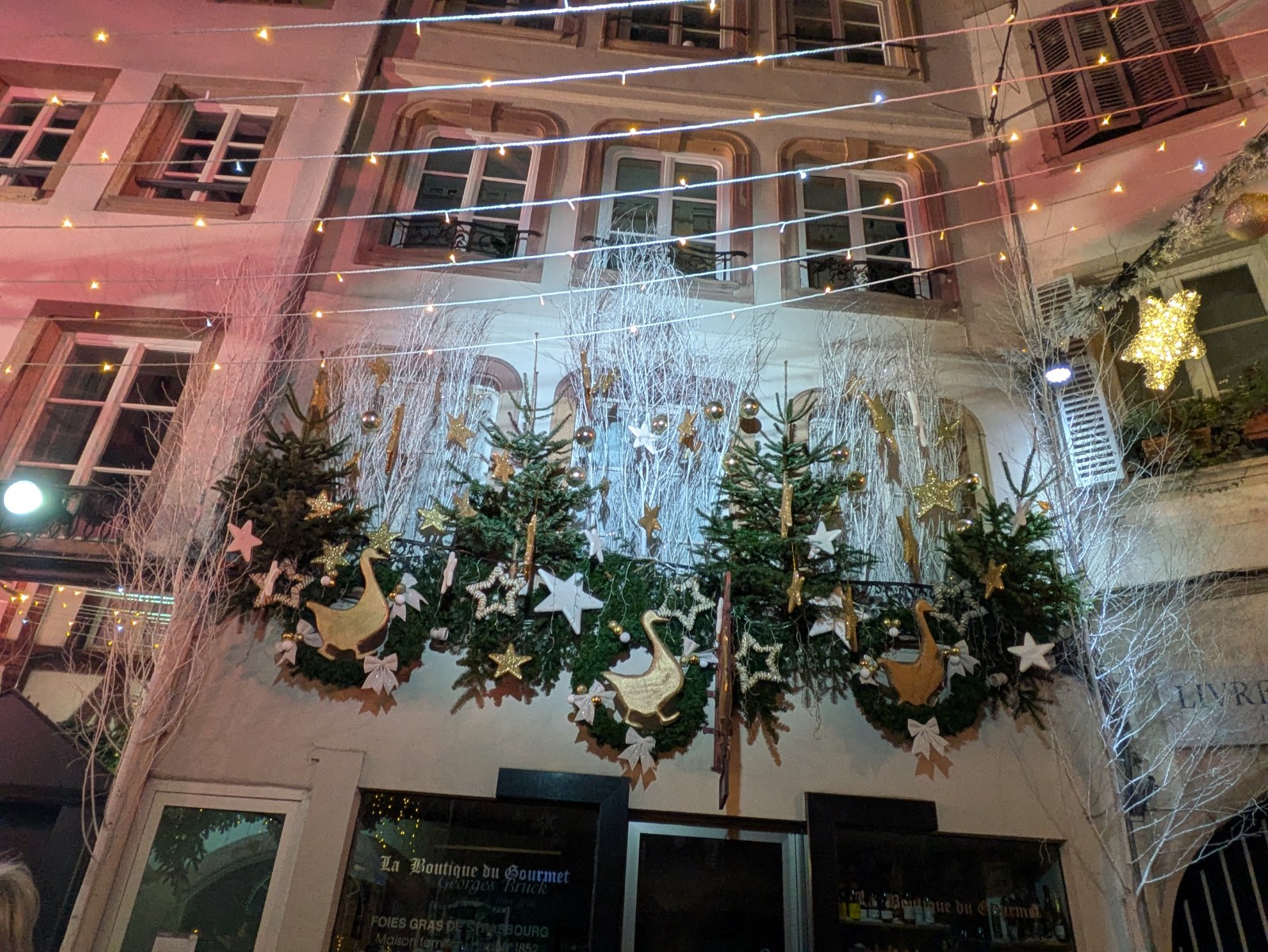 PXL 20241218 203539472