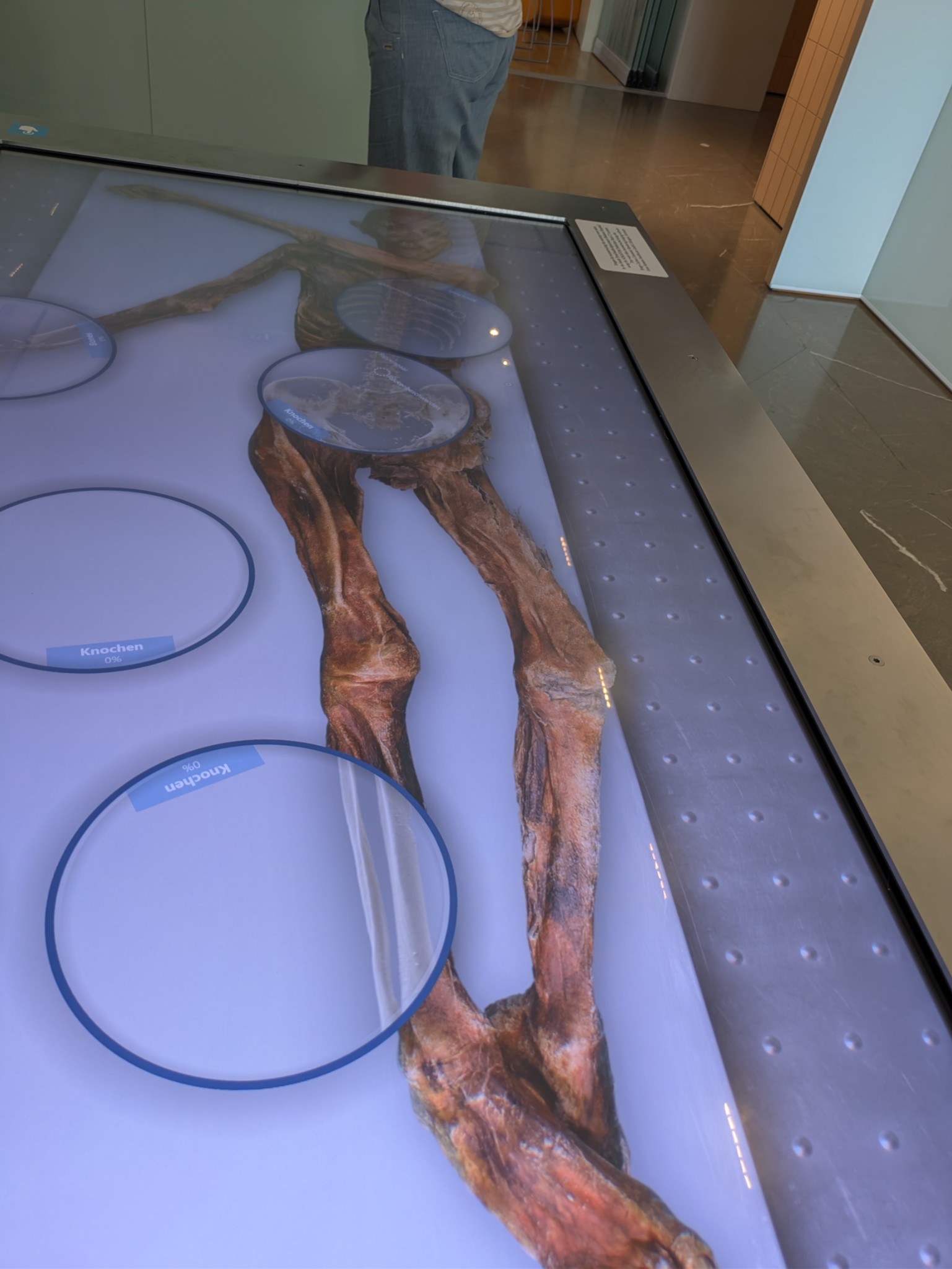 PXL 20250626 141051235.NIGHT