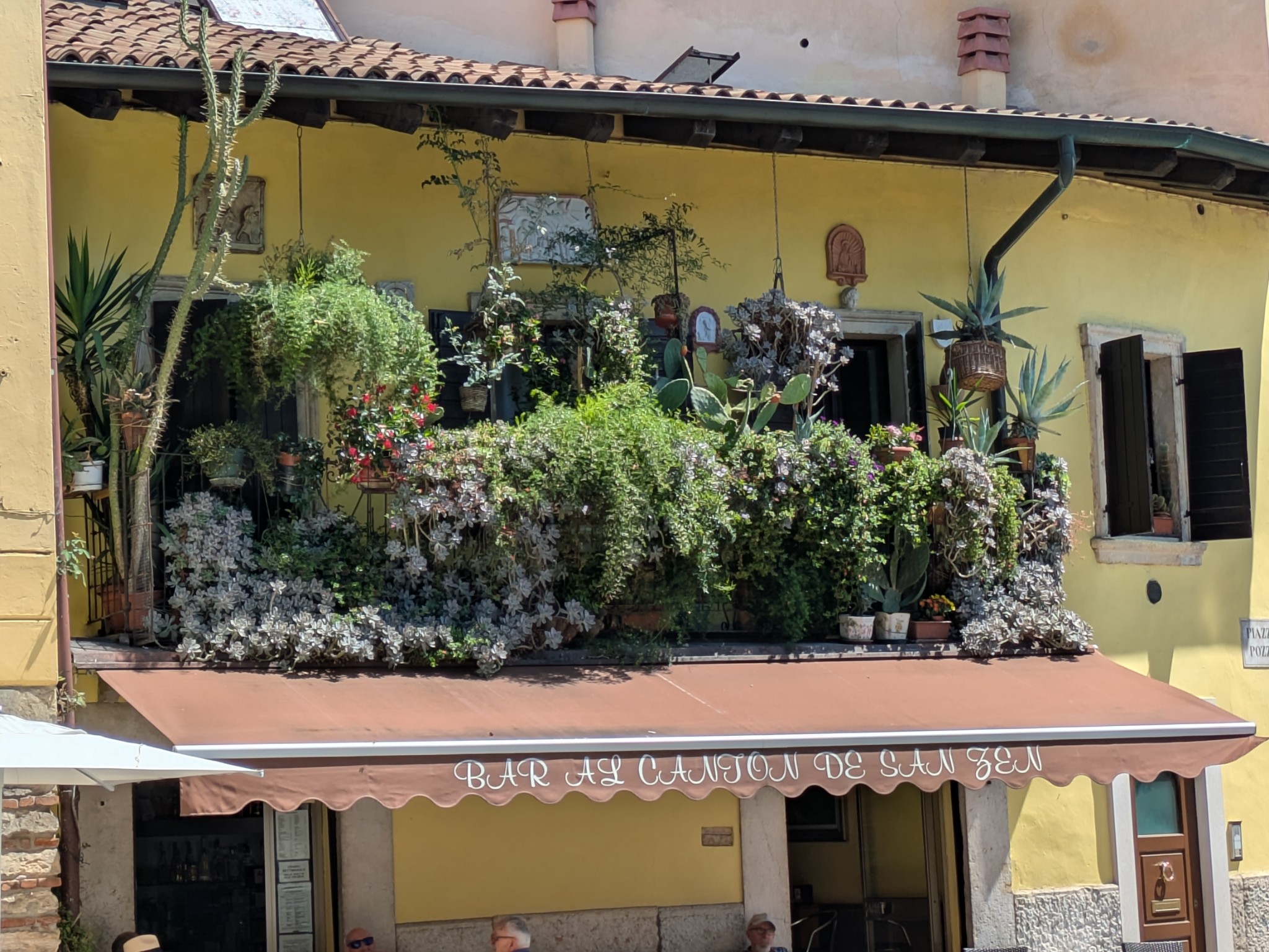 PXL 20250627 095314074