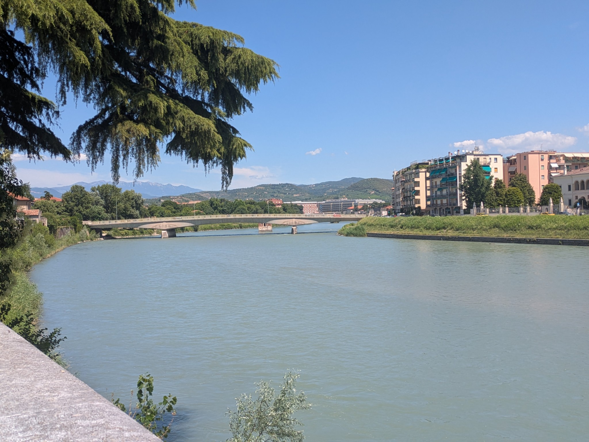 PXL 20250627 100248817